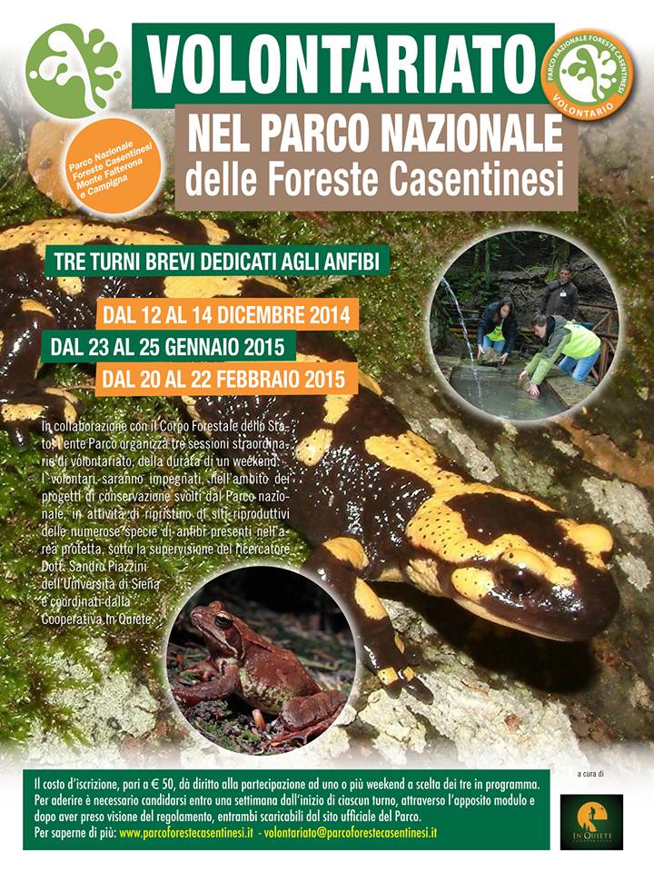 Volontariato dedicato agli anfibi nel Parco Nazionale Foreste Casentinesi